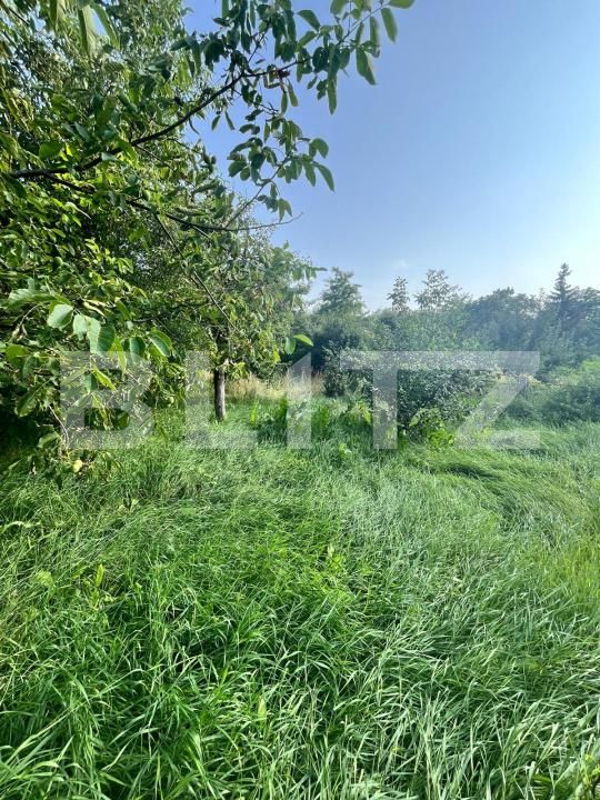 Casa de vânzare 3 camere Siret - 175312CV | BLITZ Suceava | Poza14