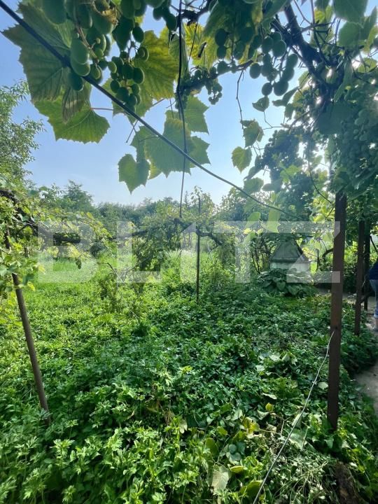 Casa de vânzare 3 camere Siret - 175312CV | BLITZ Suceava | Poza15