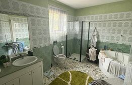 Casa/Vila 450 mp utili, 8000 mp teren + casa in constructie, Plopeni, SV