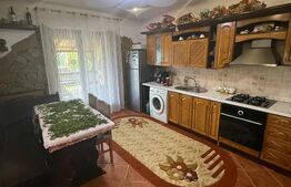 Casa/Vila 450 mp utili, 8000 mp teren + casa in constructie, Plopeni, SV