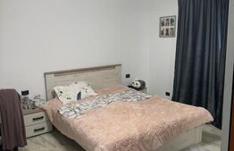 Casa/Vila 450 mp utili, 8000 mp teren + casa in constructie, Plopeni, SV