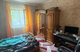 Casa/Vila 450 mp utili, 8000 mp teren + casa in constructie, Plopeni, SV