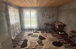 Casa/Vila 450 mp utili, 8000 mp teren + casa in constructie, Plopeni, SV