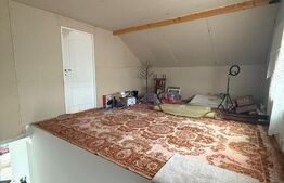 Casa/Vila 450 mp utili, 8000 mp teren + casa in constructie, Plopeni, SV