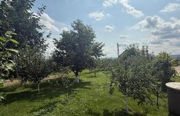 Casa/Vila 450 mp utili, 8000 mp teren + casa in constructie, Plopeni, SV