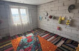 Casa/Vila 450 mp utili, 8000 mp teren + casa in constructie, Plopeni, SV