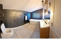 Casa/Vila, 234 mp utili, 900 mp teren, zona Burdujeni