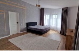 Casa/Vila, 234 mp utili, 900 mp teren, zona Burdujeni