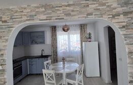 Casa tip duplex complet mobilata, 110 mp utili, zona Moara - USV