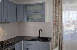 Casa tip duplex complet mobilata, 110 mp utili, zona Moara - USV