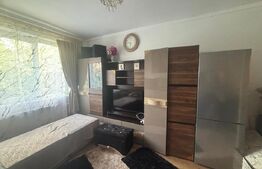 Garsoniera, 23 mp utili, etaj intermediar, zona Burdujeni