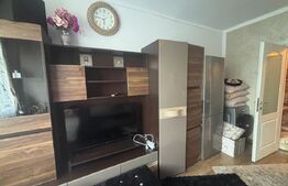 Garsoniera, 23 mp utili, etaj intermediar, zona Burdujeni