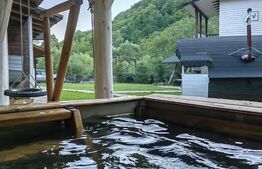 Cabana/Casa de vacanta in Molid, SV, 136 mp, teren cu 3300 mp, Iaz cu pesti