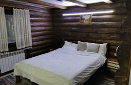 Cabana/Casa de vacanta in Molid, SV, 136 mp, teren cu 3300 mp, Iaz cu pesti