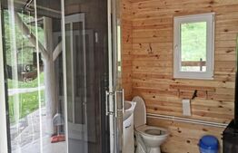 Cabana/Casa de vacanta in Molid, SV, 136 mp, teren cu 3300 mp, Iaz cu pesti
