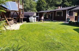 Cabana/Casa de vacanta in Molid, SV, 136 mp, teren cu 3300 mp, Iaz cu pesti