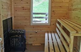 Cabana/Casa de vacanta in Molid, SV, 136 mp, teren cu 3300 mp, Iaz cu pesti