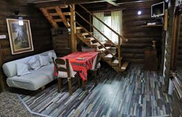 Cabana/Casa de vacanta in Molid, SV, 136 mp, teren cu 3300 mp, Iaz cu pesti