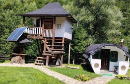 Cabana/Casa de vacanta in Molid, SV, 136 mp, teren cu 3300 mp, Iaz cu pesti