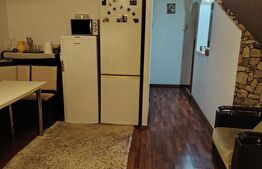 Casa etaj + demisol, 340 mp utili, 350 mp teren, zona Burdujeni