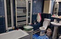 Casa etaj + demisol, 340 mp utili, 350 mp teren, zona Burdujeni