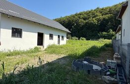 Casa parter, 83 mp utili, 1060 mp teren, posibilitate de mansarda Darmanesti, SV