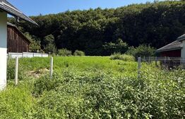 Casa parter, 83 mp utili, 1060 mp teren, posibilitate de mansarda Darmanesti, SV