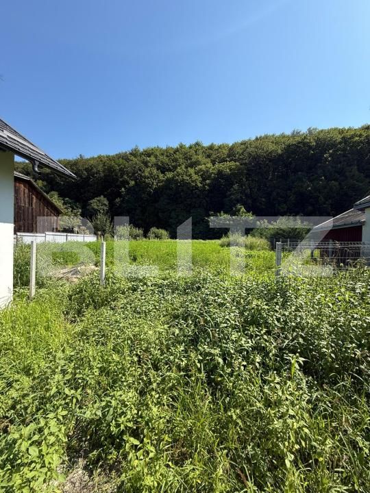 Casa de vânzare 3 camere Nord - 175680CV | BLITZ Suceava | Poza4