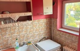 Garsoniera, 26 mp, etaj 4, Burdujeni