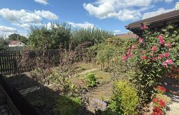 Casa parter, 121 mp utili, 456 mp teren, zona Itcani