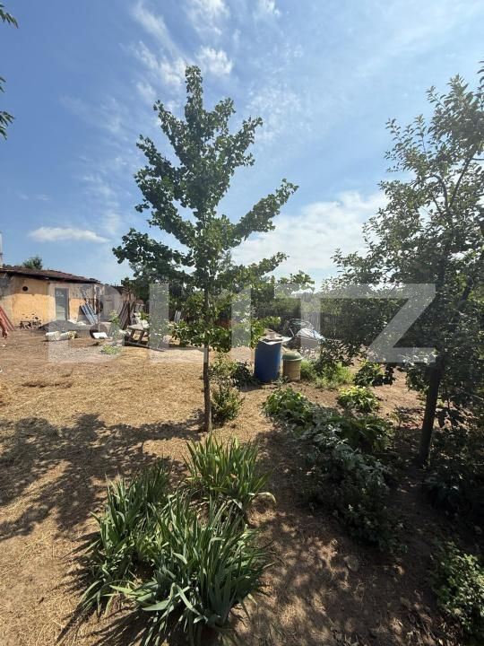 Casa de vânzare 3 camere Burdujeni - 175938CV | BLITZ Suceava | Poza5
