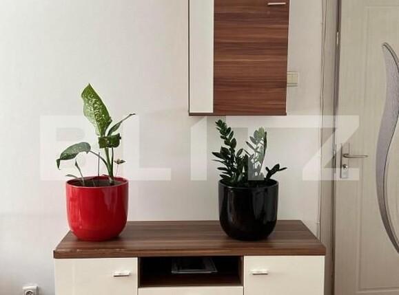 Apartament de închiriat 2 camere Obcini - 175955AI | BLITZ Suceava | Poza2