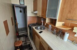 Apartament, 40 mp utili, etaj intermediar, zona George Enescu