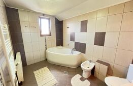 Spatiu comercial/Casa de vanzare, 260 mp, zona Zamca