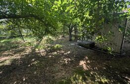 Casa cu etaj, 160 mp utili, 1352 mp teren, zona Burdujeni