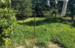 Casa cu etaj, 160 mp utili, 1352 mp teren, zona Burdujeni