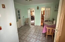 Casa cu etaj, 160 mp utili, 1352 mp teren, zona Burdujeni