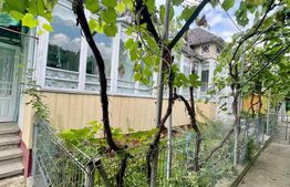 Casă + Teren Intravilan 4000 mp - Boroaia