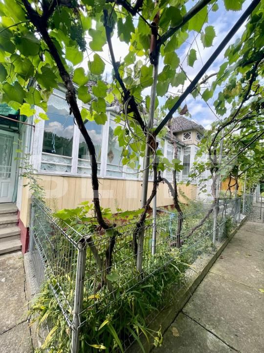 Casa de vânzare 3 camere Falticeni - 176269CV | BLITZ Suceava | Poza8