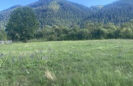 Teren de vânzare în Sadova, 900 mp