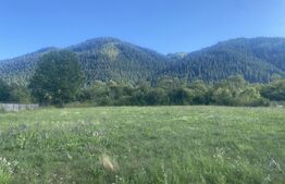 Teren de vânzare în Sadova, 900 mp