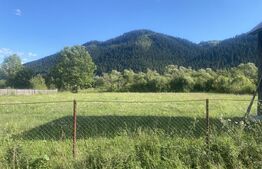 Teren de vânzare în Sadova, 900 mp