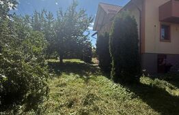 Casa cu etaj, 160 mp utili, 650 mp teren, Salcea