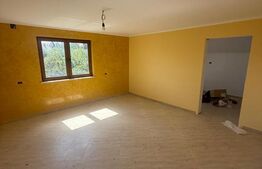 Casa cu etaj, 160 mp utili, 650 mp teren, Salcea