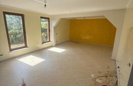 Casa cu etaj, 160 mp utili, 650 mp teren, Salcea