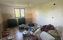 Casa cu etaj, 160 mp utili, 650 mp teren, Salcea