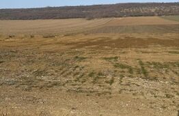 Teren intravilan, 3200 mp la DN 85, la ieșirea din Suceava