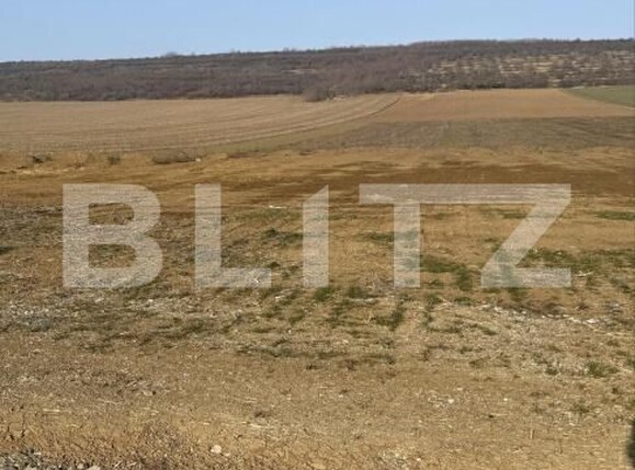 Teren de vânzare Nord - 176397TV | BLITZ Suceava | Poza3