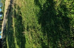 Teren într-o zonă superbă din Campulung Moldovenesc 