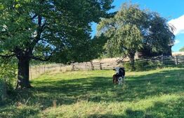 Teren într-o zonă superbă din Campulung Moldovenesc 